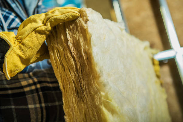 Best DIY Insulation Kits and Guidance in West Branch, MI